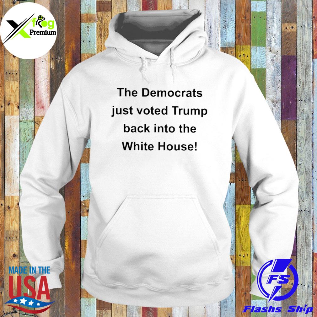 The democrats just voted Trump back into the white house s Hoodie